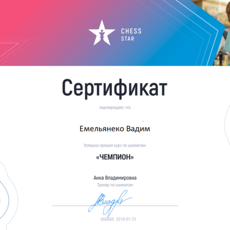 Заявление ФИДЕ о проекте «Фристайл шахматы»