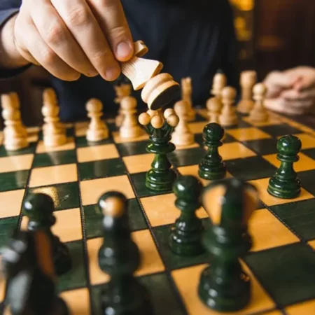 Линия шахмат в 1Win и 1xbet