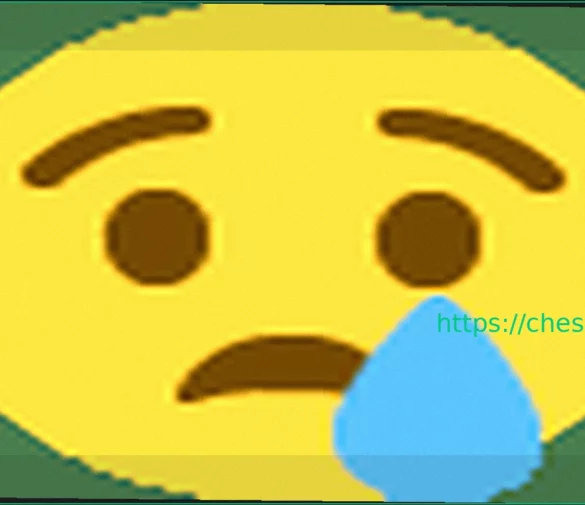 Реакции на Отказ Хумпи Конеру от Участия в Турнире Претенденток по Шахматам 2026